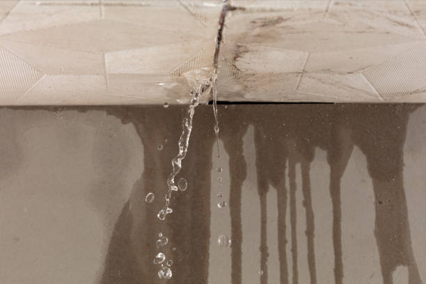 Professional Structural Drying technician working in Newfield, ME